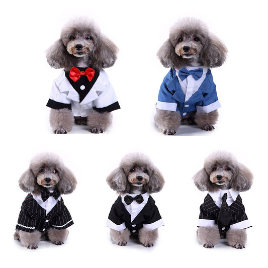 Pet dog suit