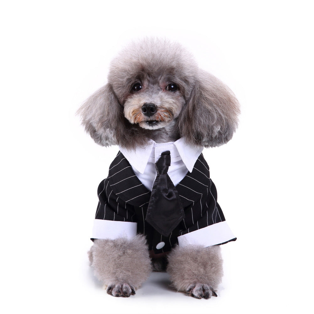 Pet dog suit