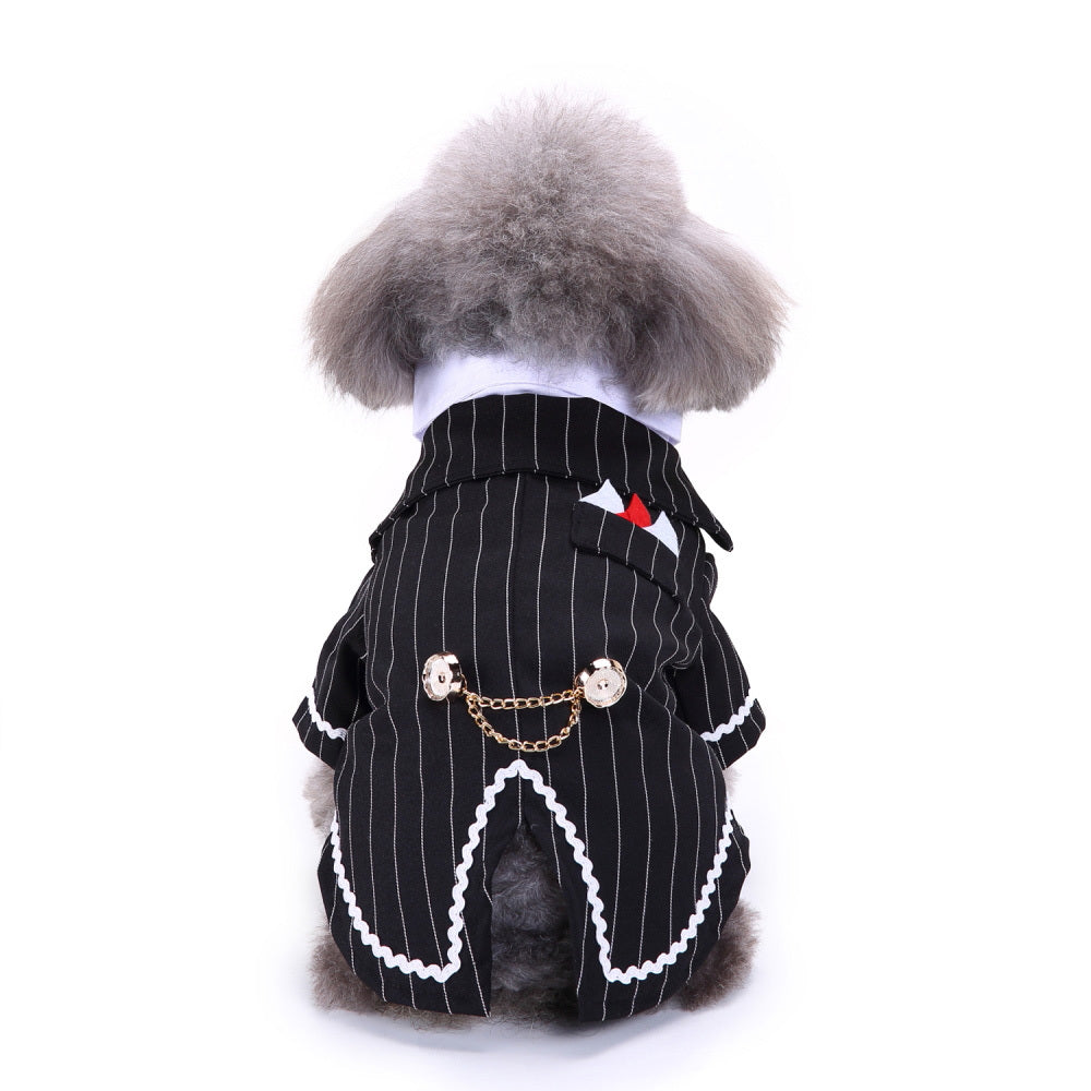 Pet dog suit