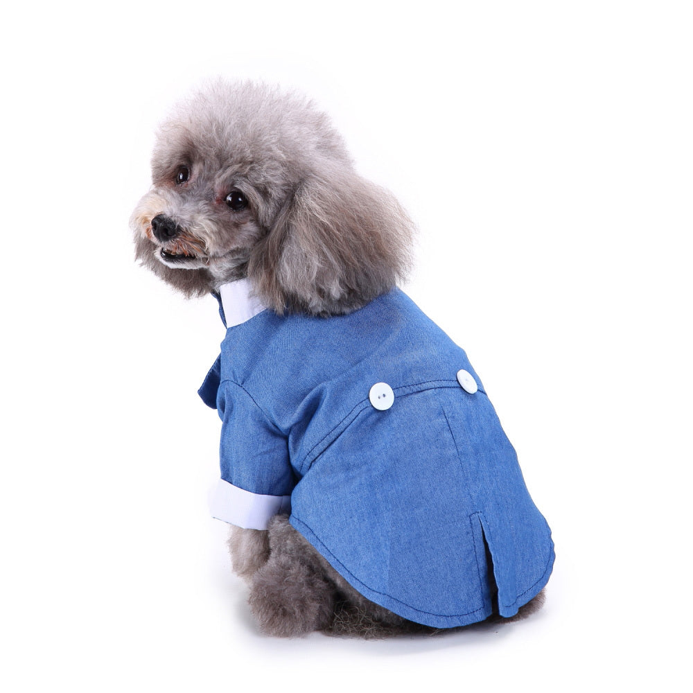 Pet dog suit